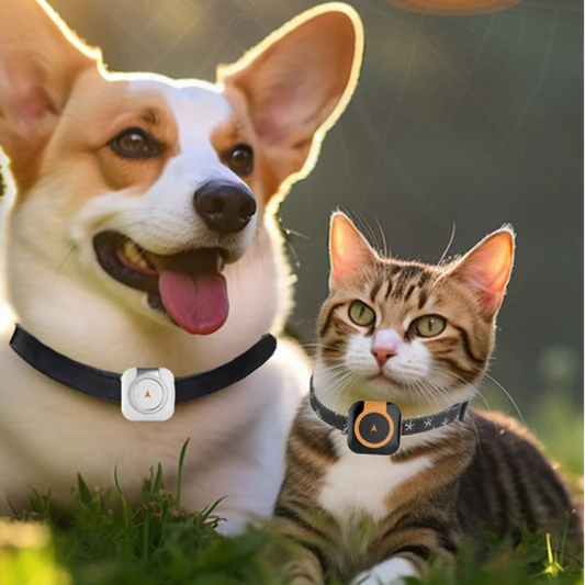 Mini 4G GPS Pet Tracker Waterproof Universal Fit for Any Collar Health